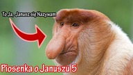 Piosenka o Januszu 5 To Ja Janusz Się Nazywam