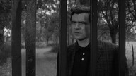 Klątwa. muchy. 1965. Lektor.pl