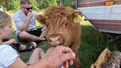 Bambik: historia cielaka, który stracił mamę