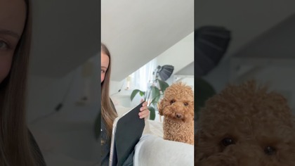 Urodzinowe granie Stefana