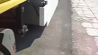 Próba nielegalnego przekroczenia granicy