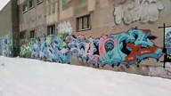 Fakowid
