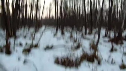 My hermitage winter on Polish soil
