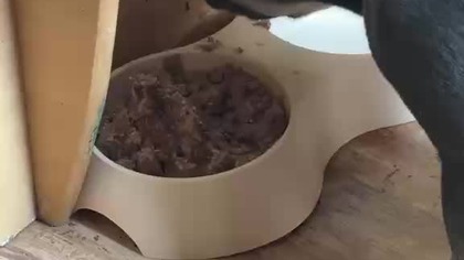 77f815d6-2d3c-4829-91a2-1a9710367cec