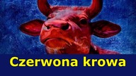 Popiół z czerwonej krowy (Lb 19)