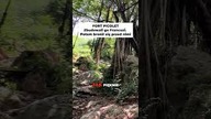 Haiti i ruiny fortu z XVIII wieku