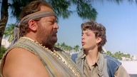 Aladyn 1986 lektor pl