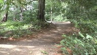 Hamstead Park