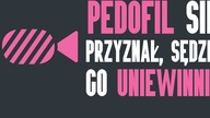 Sąd uniewinnił pedofila, chociaż się przyznał