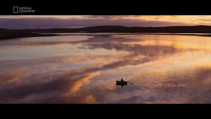 Billy i Molly- Historia wydry - Billy & Molly- An Otter Love Stor (2024)