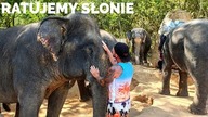 RATUJMY SŁONIE! Sanktuarium dla słoni na Phuket - Tajlandia
