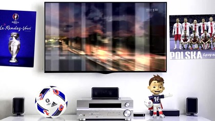 Czy Szczęsny zagra przeciwko Niemcom? (13. 06. 2016)