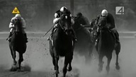 Ruffian (2007) Lektor PL