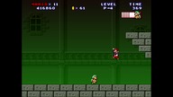 Mario Forever Dynamic Letter Worlds Series V2.0 #16 World P TororoTchi