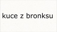 kuce z bronksu remix nieznany