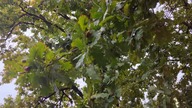 Rainy day at school 8k