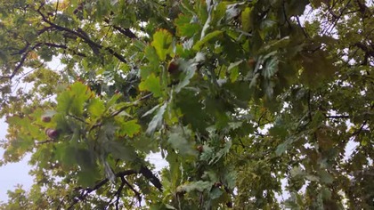 Rainy day at school 8k