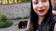 Idziemy do zoo!Pokaz Pirotechniczny 