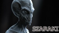 Szaraki | Rasy obcych