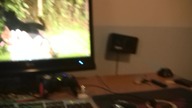Psy tez pamietają