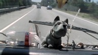 Mroczna plaża 2003 - Lost Things Lektor PL