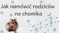 Jak namówić rodziców na chomika