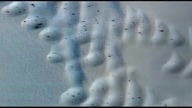 Mars in color #4