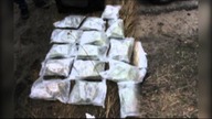 25kg Marihuany przechwyciła policja niedaleko Torunia