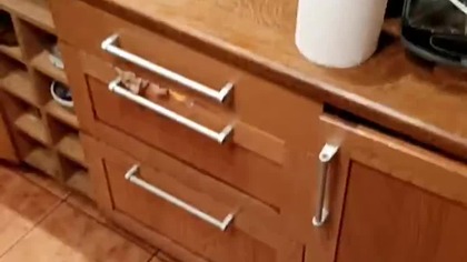 Gotujemy Bigos Staropolski na Ucztę Świętego Marcina! Kuchnia Sarmaty! Q&A! Nocne gotowanie na 11. 11