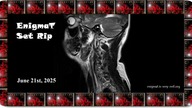 Doffo - Alphonsine (Cut From Drifter Set)-enTc