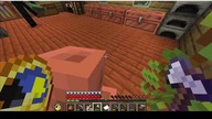 Enderman jako chwilowy współlokator