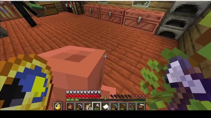 Enderman jako chwilowy współlokator