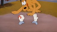 Pluto - Walka o byt