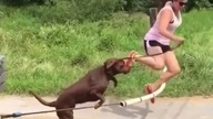 FUNNY VINE FAILS COMPILATION 2017 | Funny Vines 2017