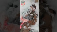 Staza taktyczna CAT od Rhnio Rescue - pamięć mięśniowa #stopthebleed
