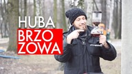 Herbata z hubą brzozową. Przepis na herbatę po Buriacku. Czajnikowy.pl