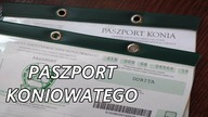 Co znajdziemy w paszporcie konia?