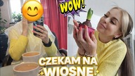 WJECHAŁAM W ZASPĘ! CHWILA DLA MNIE - FOOD HAUL Z BIEDRY