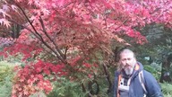 Arboretum czerwone roślinki #czerwone #rosliny