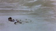 FIREWALKER.  (1986)