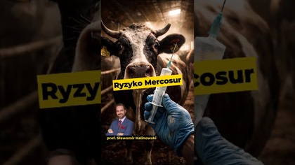 Ryzyko Mercosur - prof.  Sławomir Kalinowski #żywność #rolnictwo #umowa #handel #przemysł #polityka