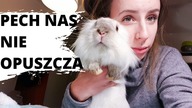 PECH NAS NIE OPUSZCZA