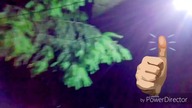 LED