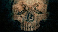 Antisocial 2 (2015) Lektor PL