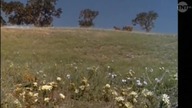 Domek na prerii S07e01 Laura Ingalls Wilder Cz. 1 TNT Xvid Lektor PL