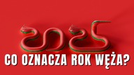 Co oznacza Chiński Nowy Rok Węża?