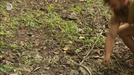 DISCOVERY CEE - 12-08-2022 - Continuity (fragment)