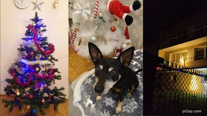 Vlogmas 18 Ubieramy drugą choinkę