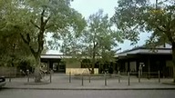 Francuski dla początkujących