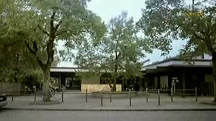 Francuski dla początkujących